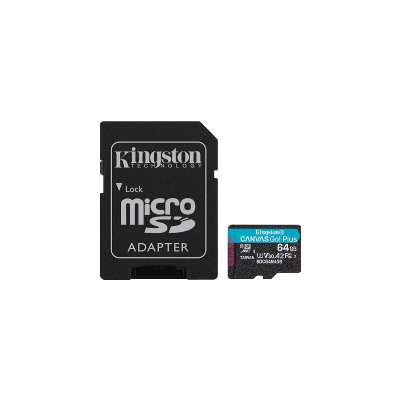 Kingston Canvas Go! Plus SDCG4/256GB 256GB Micro SD Card  UHS-1 (U3)