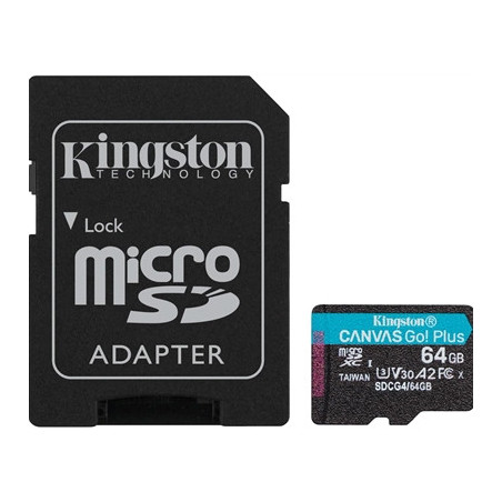 Kingston Canvas Go! Plus SDCG4/256GB 256GB Micro SD Card  UHS-1 (U3)