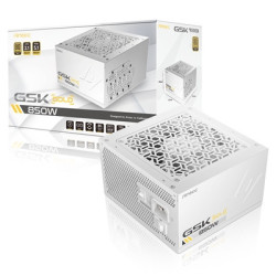Antec GSK ATX3.1 850W Power Supply  White 80 PLUS Gold  Full Modular  PCIe 5.1  JP Capacitors  Silent FDB Fan  CircuitShield Pro