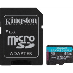 Kingston Canvas Go! Plus SDCG4/256GB 256GB Micro SD Card  UHS-1 (U3)