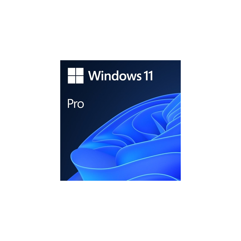 Microsoft Windows 11 Professional 64bit English OEI DVD Operating Software OEM