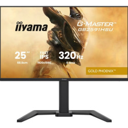 iiyama G-Master GB2591HSU-B1 24.5-Inch Fast IPS LCD  1920x1080  up to 320Hz  350 cd/m2 Brightness  0.4ms MPRT   2 x HDMI 2.1 + 1