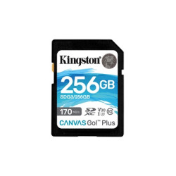 Kingston Canvas Go! Plus SDCG3/256GB 256GB Micro SD Card  UHS-1 (U3)