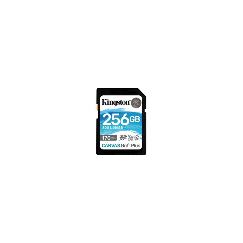 Kingston Canvas Go! Plus SDCG3/256GB 256GB Micro SD Card  UHS-1 (U3)