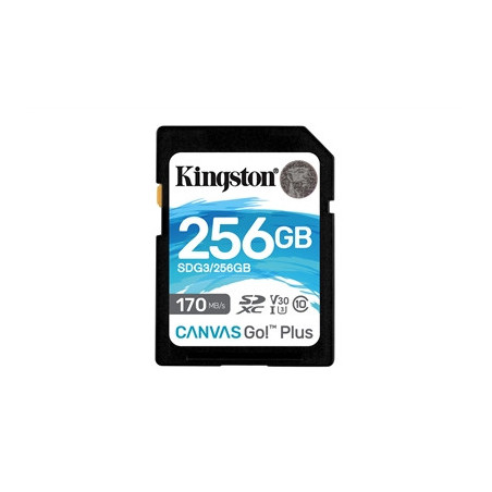 Kingston Canvas Go! Plus SDCG3/256GB 256GB Micro SD Card  UHS-1 (U3)