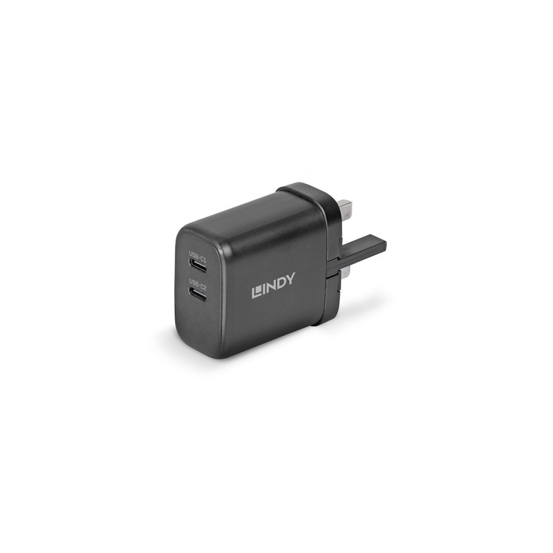 Lindy 65W USB 2 x Type C GaN Charger  Input UK Plug  Output 2 x USB Type C Female  Black
