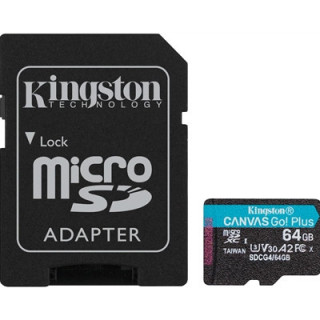 Kingston Canvas Go! Plus SDCG4/256GB 256GB Micro SD Card  UHS-1 (U3)