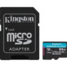 Kingston Canvas Go! Plus SDCG4/256GB 256GB Micro SD Card  UHS-1 (U3)