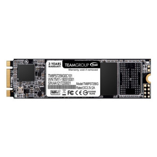 Team MS30 (TM8PS7256G0C101) 256GB  M.2 Sata Interface Read 550MB/s  Write 470MB/s  3 Year Warranty
