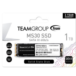 Team MS30 (TM8PS7001T0C101) 1TB  M.2 Sata Interface  Read 530MB/s  Write 480MB/s  3 Year Warranty