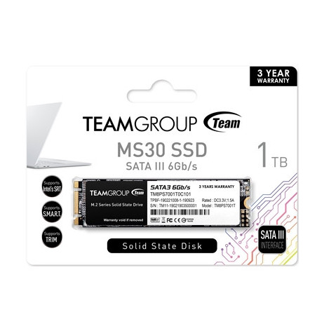 Team MS30 1TB M.2 Sata (TM8PS7001T0C101) 1TB  M.2 Sata Interface  PCIe Gen3  Read 530MB/s  Write 480MB/s  3 Year Warranty