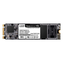 Team MS30 256GB M.2 Sata (TM8PS7256G0C101) 256GB  M.2 Sata Interface  PCIe Gen3  Read 550MB/s  Write 470MB/s  3 Year Warranty