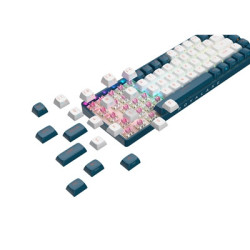 Royalaxe R68 Hot Swappable Mechanical Keyboard  60% TKL Design  67 Keys  2.4GHz  Bluetooth 5.0 or Wired Connection  TTC Golden-P