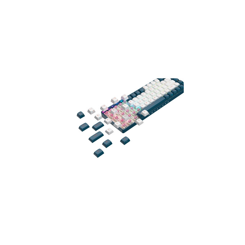 Royalaxe R68 Hot Swappable Mechanical Keyboard  60% TKL Design  67 Keys  2.4GHz  Bluetooth 5.0 or Wired Connection  TTC Golden-P