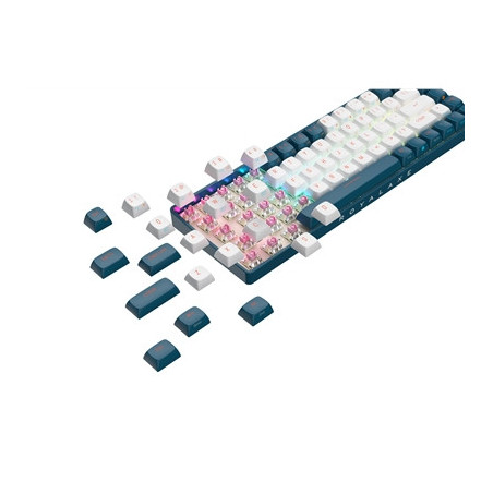 Royalaxe R68 Hot Swappable Mechanical Keyboard  60% TKL Design  67 Keys  2.4GHz  Bluetooth 5.0 or Wired Connection  TTC Golden-P